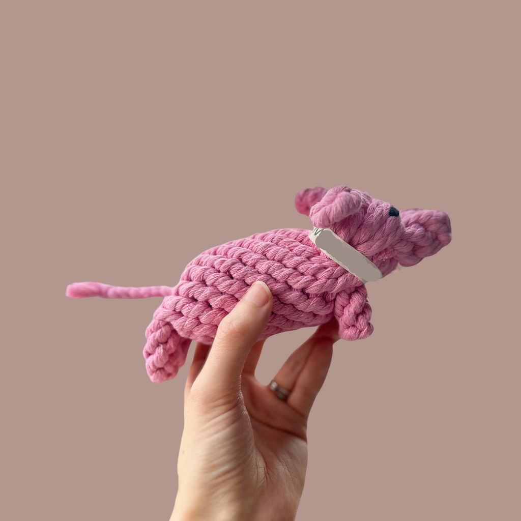 Piggy Pink Rope Dog Toy