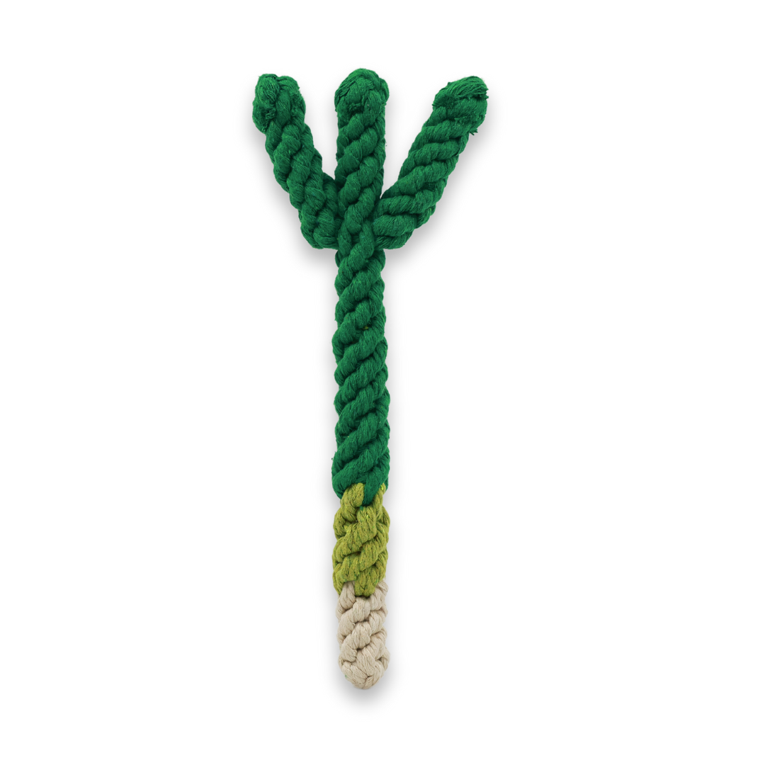 Handmade Scallion Rope Toy