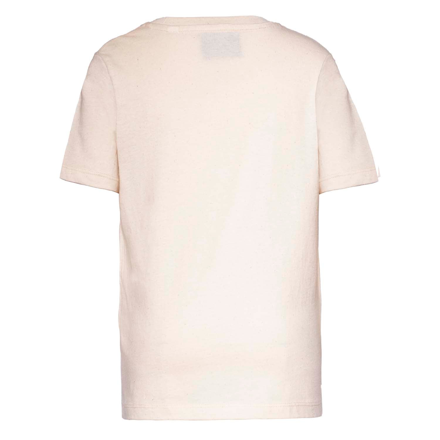 Volcano, Dino and Chick T Shirt