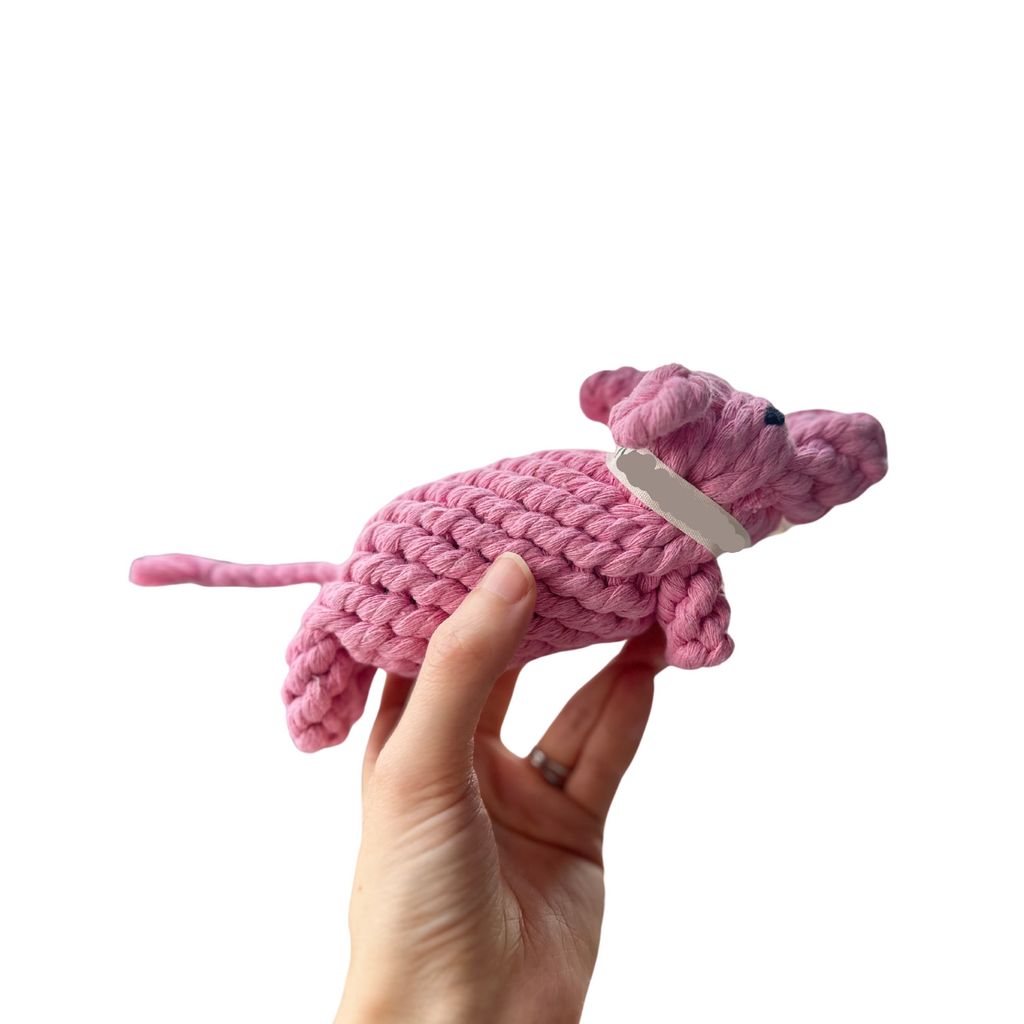 Piggy Pink Rope Dog Toy