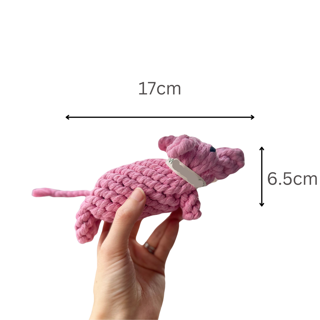 Piggy Pink Rope Dog Toy