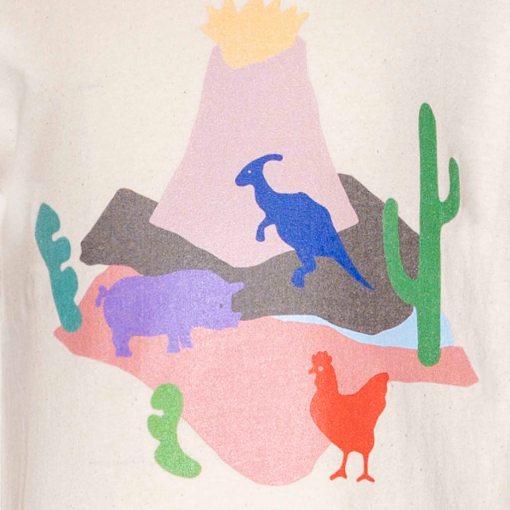 Volcano, Dino and Chick T Shirt