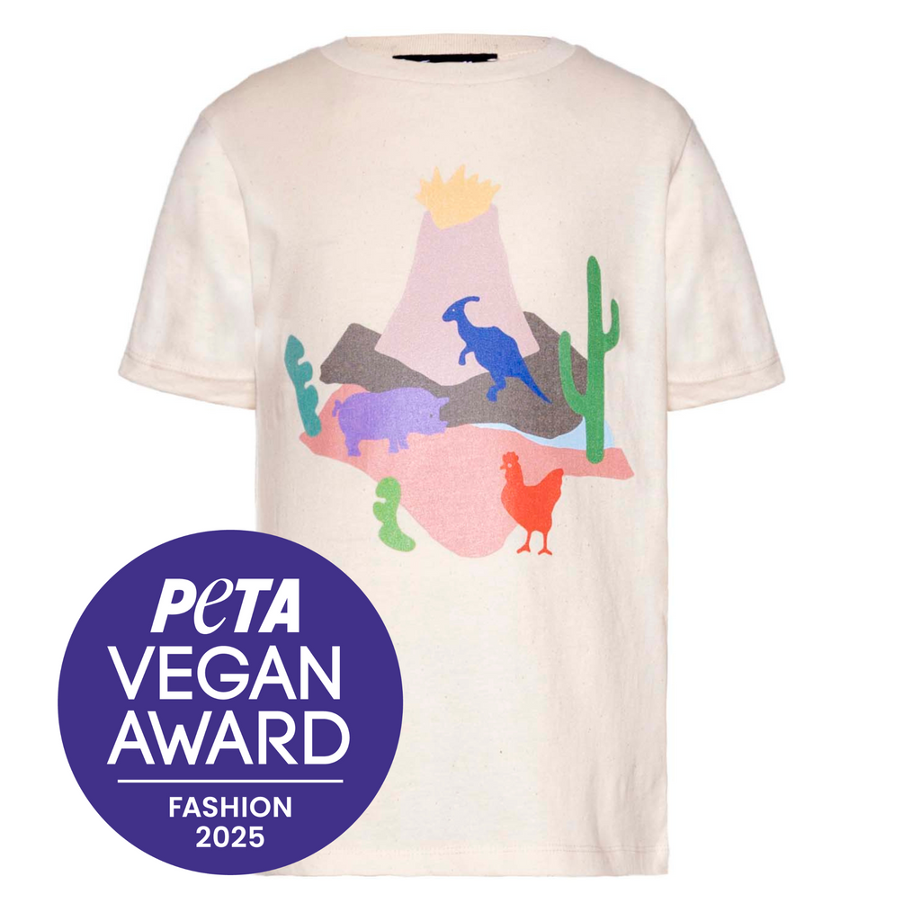 Volcano, Dino and Chick T Shirt