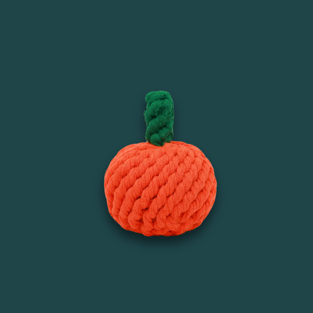 Handmade Orange Rope Toy