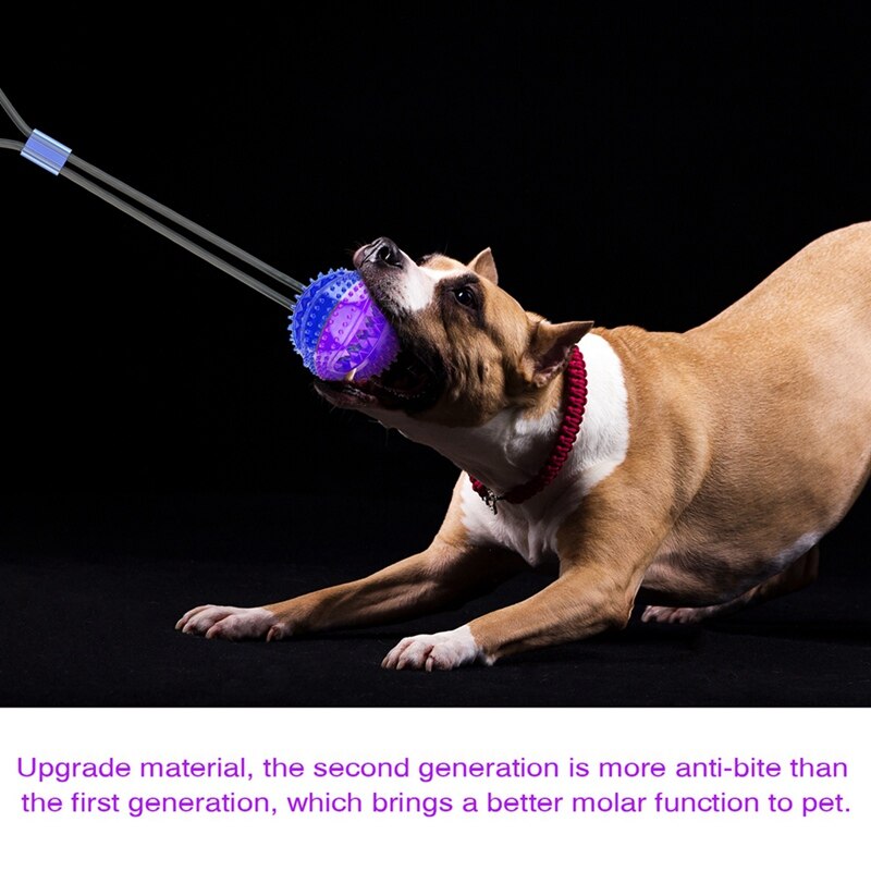 Interactive Pet Toys For Cats Dogs Training Suction Cup Push Ball Toys Elastic Ropes Pet Tooth Cleaning Chewing IQ Exercise New