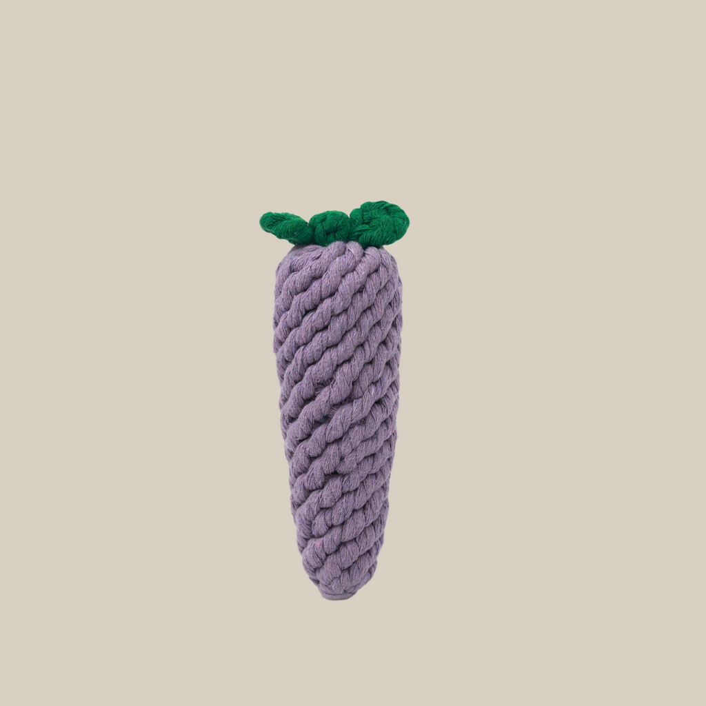 Handmade Eggplant Rope Toy